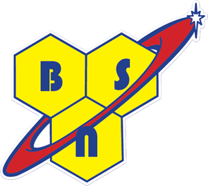 bsn